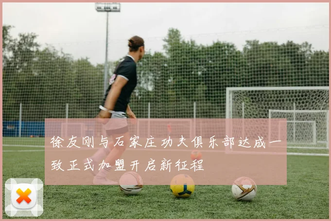 徐友刚与石家庄功夫俱乐部达成一致正式加盟开启新征程