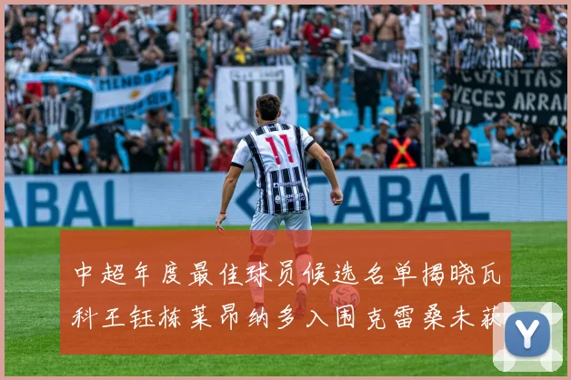 中超年度最佳球员候选名单揭晓瓦科王钰栋莱昂纳多入围克雷桑未获提名