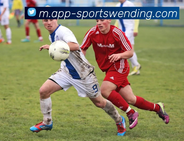 App Interface Preview